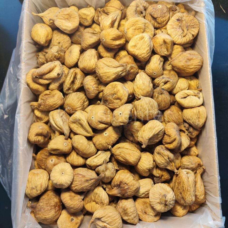 Toptan Aydın Armut İncir 9 Kg