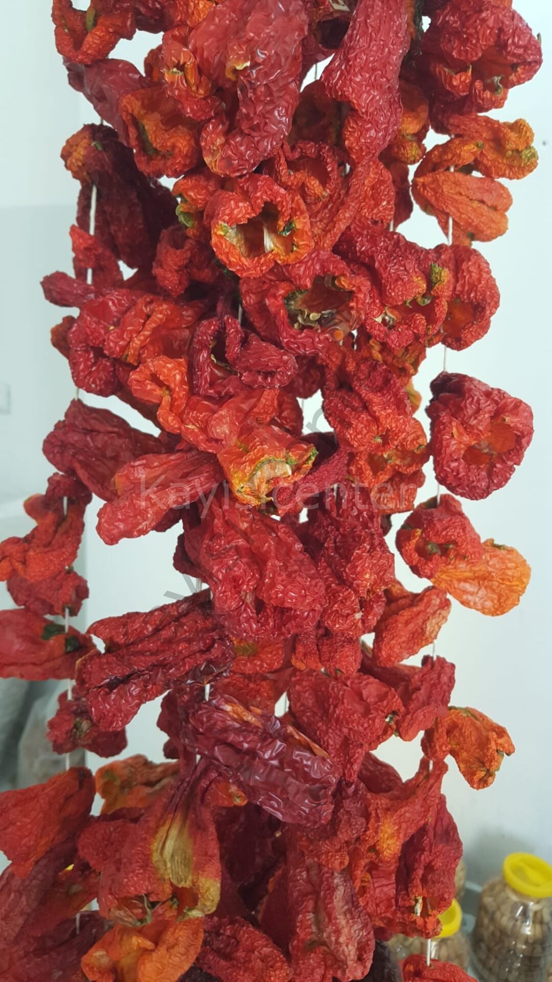 Toptan Dolmalık Biber Kurusu 10 Bağ