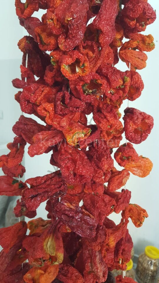 Toptan Dolmalık Biber Kurusu 10 Bağ