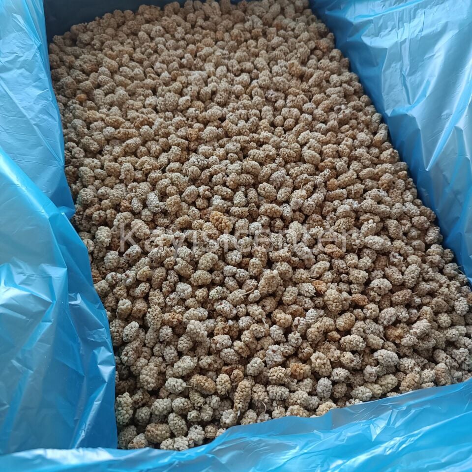 Toptan Pütürge Lüks Dut Kurusu 9 Kg