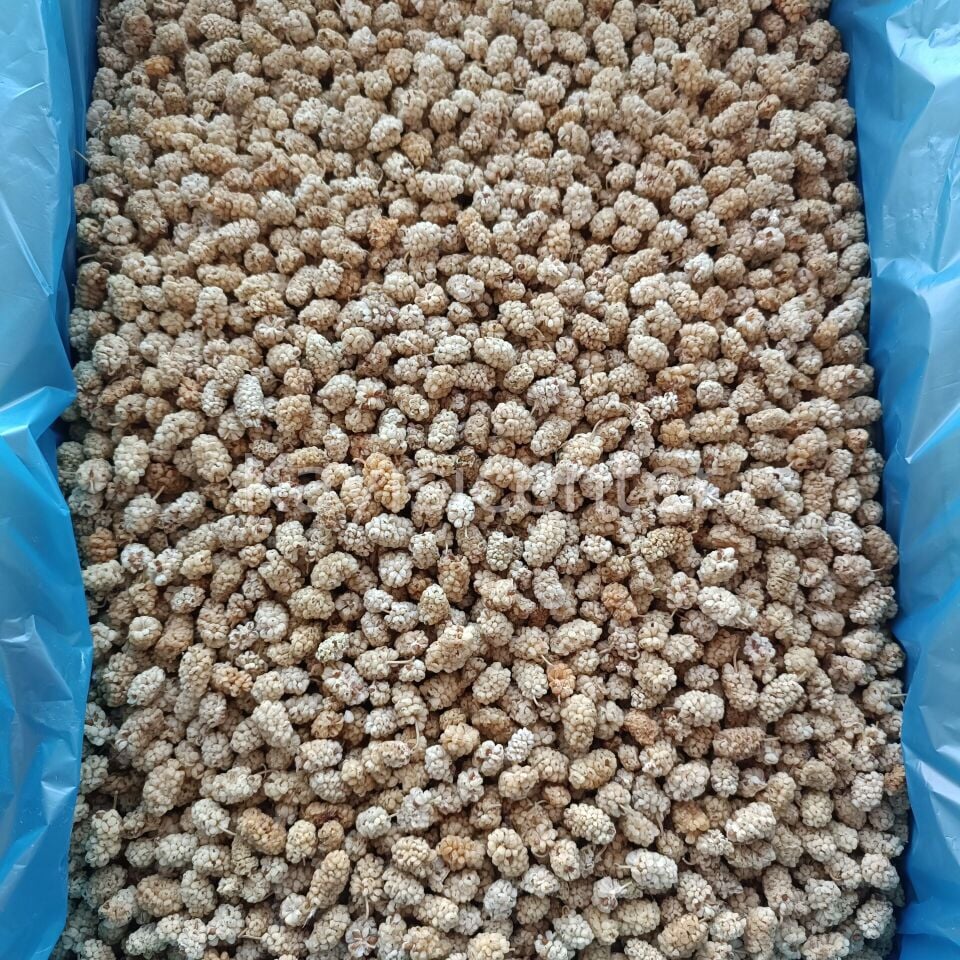 Toptan Pütürge Lüks Dut Kurusu 10 Kg