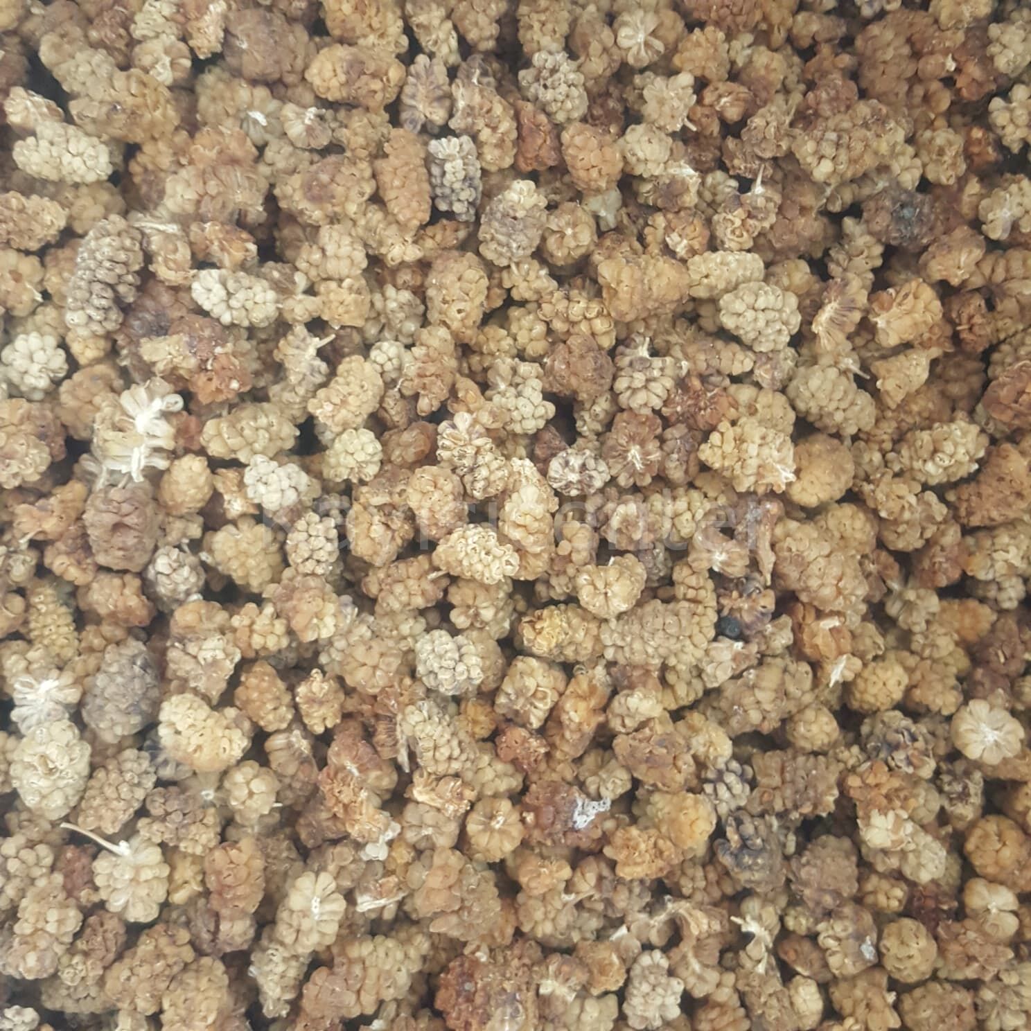 Toptan Yerli Dut Kurusu Ekonomik 12Kg