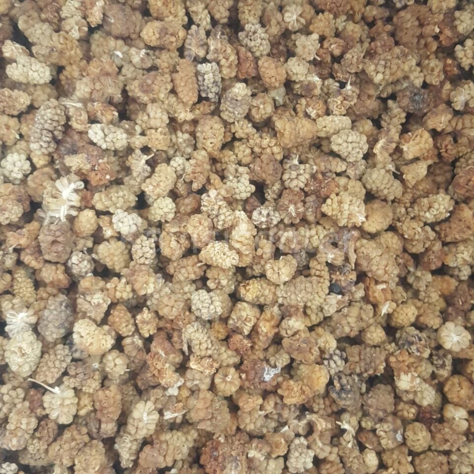 Toptan Yerli Dut Kurusu Ekonomik 13 Kg