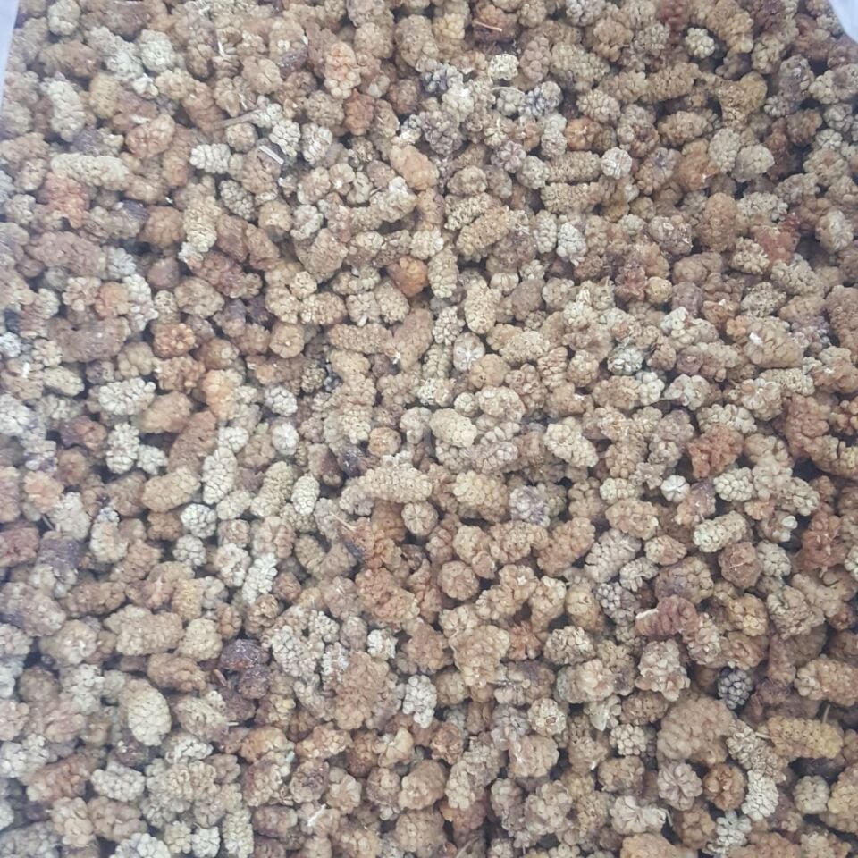 Toptan Yerli Dut Kurusu Ekonomik 12Kg