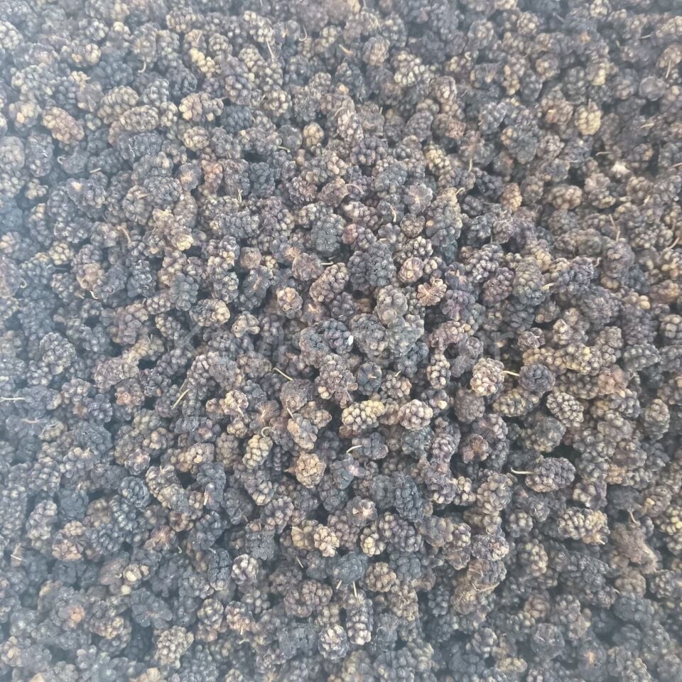 Toptan Ekonomik Karadut Kurusu 10 Kg