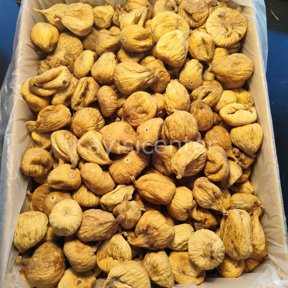 Toptan Aydın Armut İncir Jumbo 10 Kg