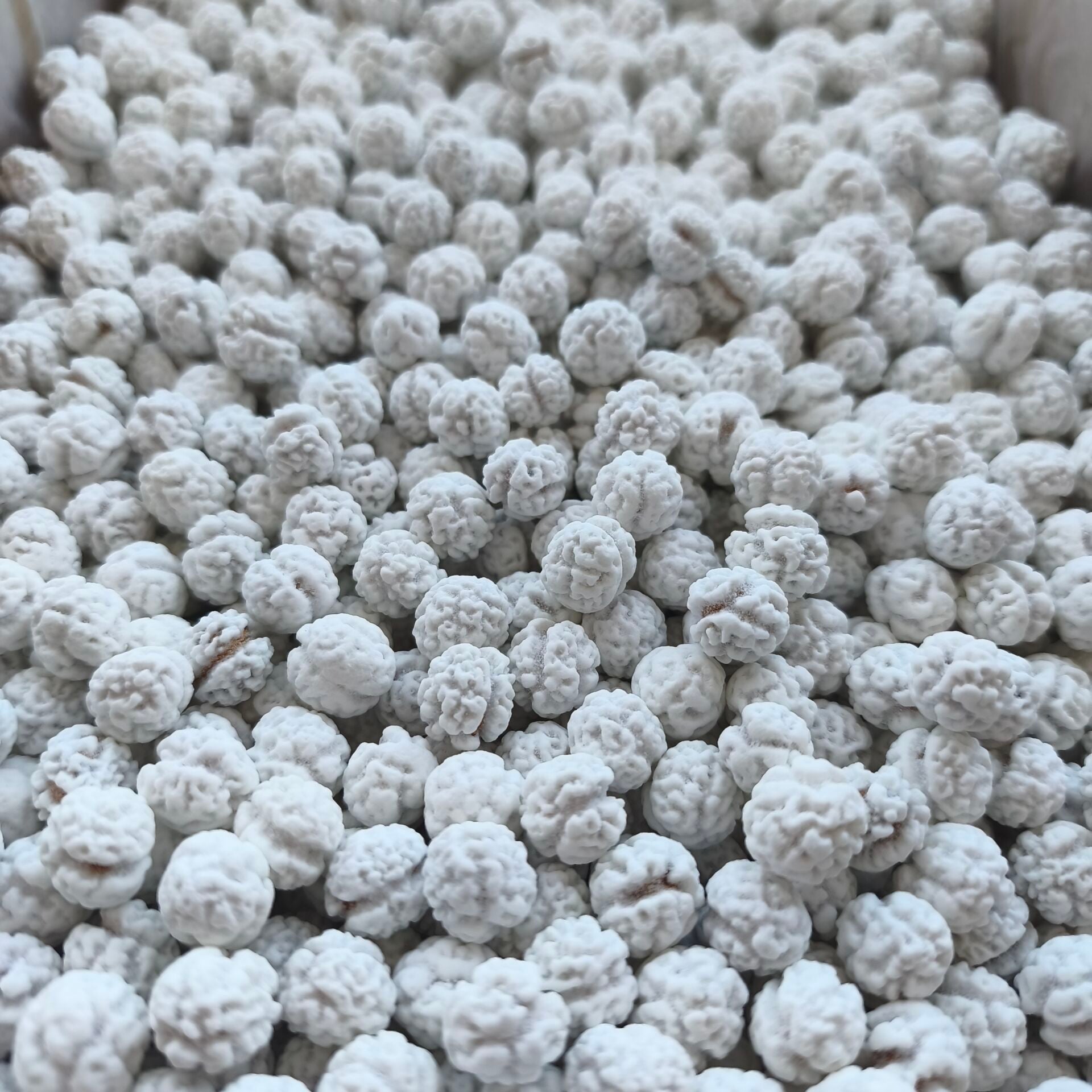 Toptan Leblebi Şekeri 10 Kg