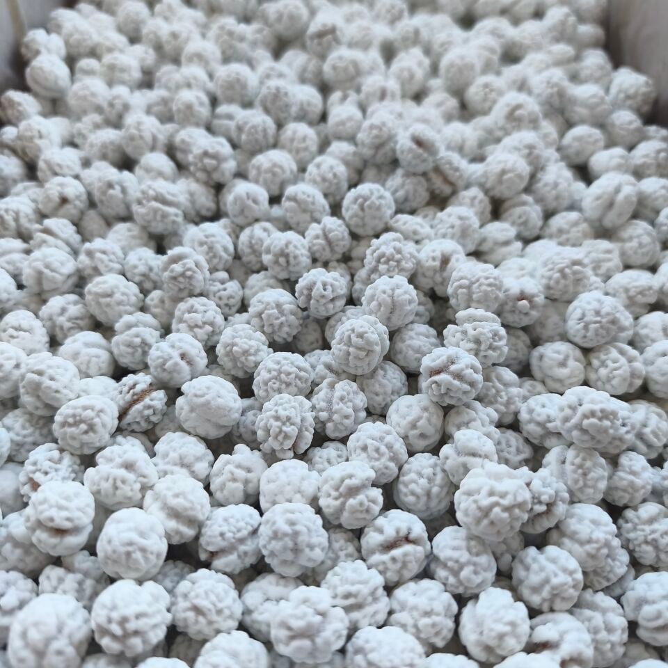 Toptan Leblebi Şekeri 10 Kg