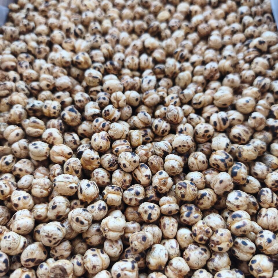 Toptan Sarı Leblebi 10 Kg