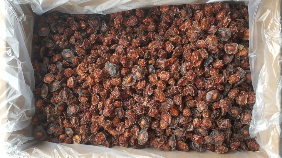 Toptan Doğal Can Erik Kurusu 10 Kg