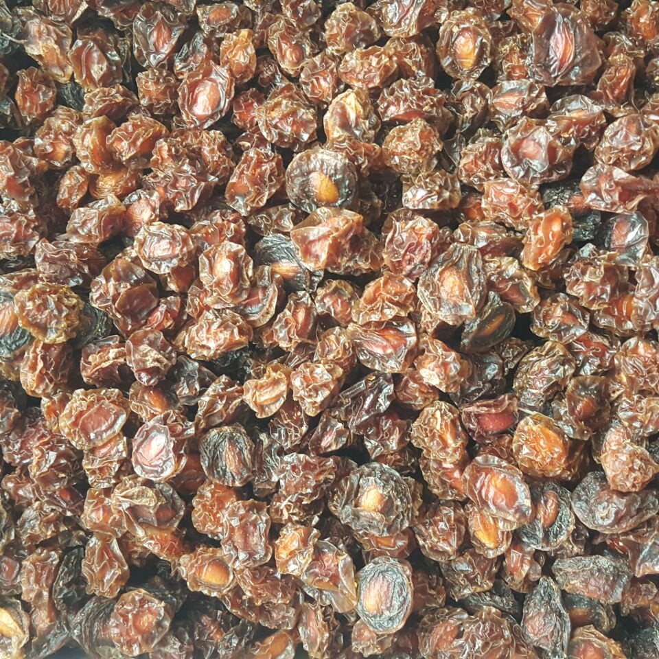 Toptan Doğal Can Erik Kurusu 10 Kg