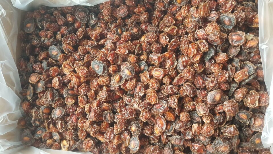 Toptan Doğal Can Erik Kurusu 10 Kg