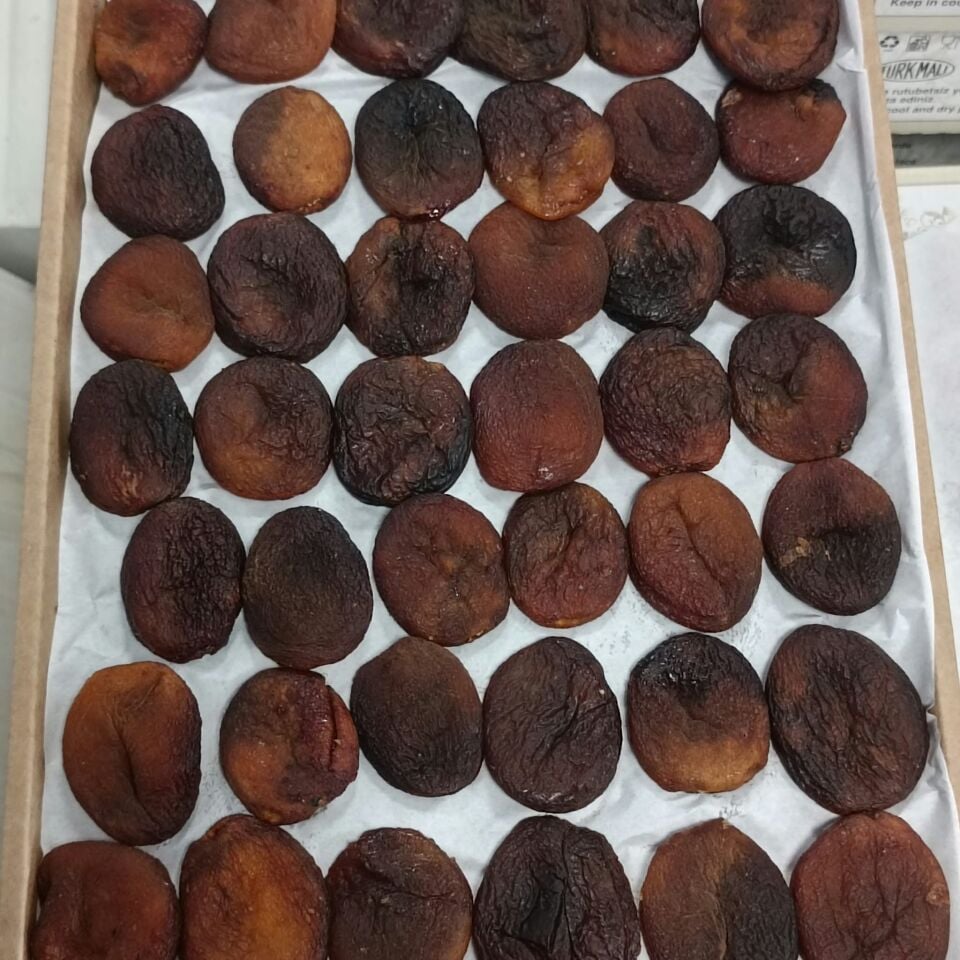 Toptan Gün Kurusu Kayısı Ekstra Jumbo 10 Kg