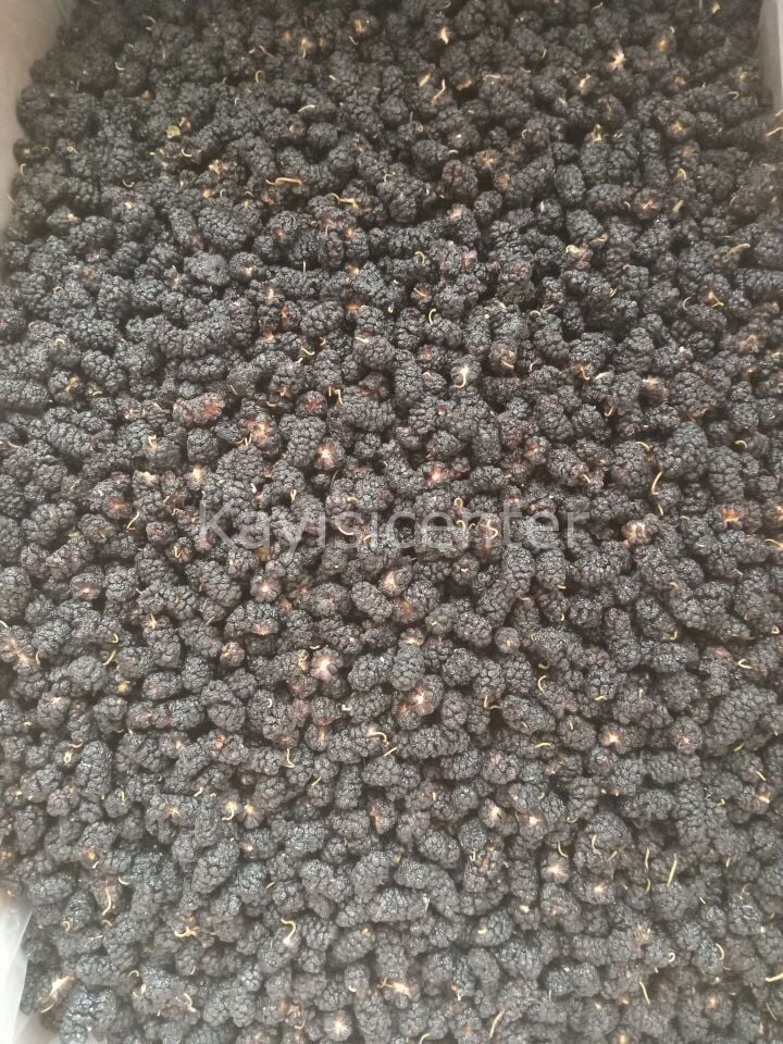 Toptan Kara Dut Kurusu 10 Kg