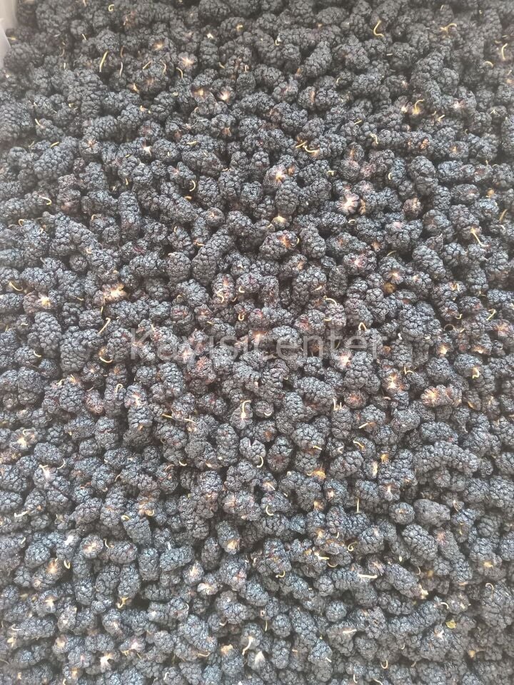 Toptan Kara Dut Kurusu 10 Kg