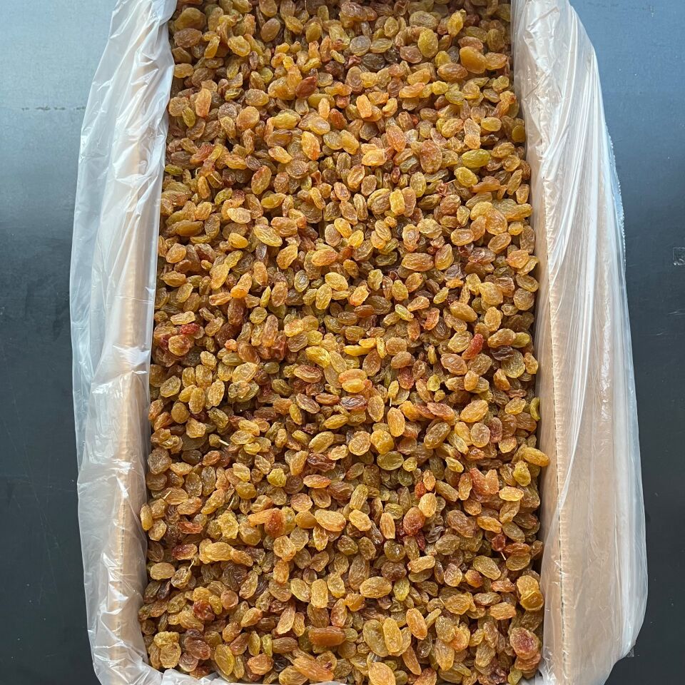 Toptan İzmir Çekirdeksiz Üzüm 10 Kg