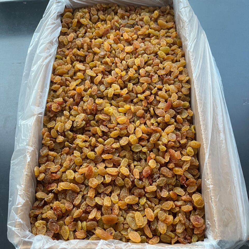 Toptan İzmir Çekirdeksiz Üzüm 10 Kg