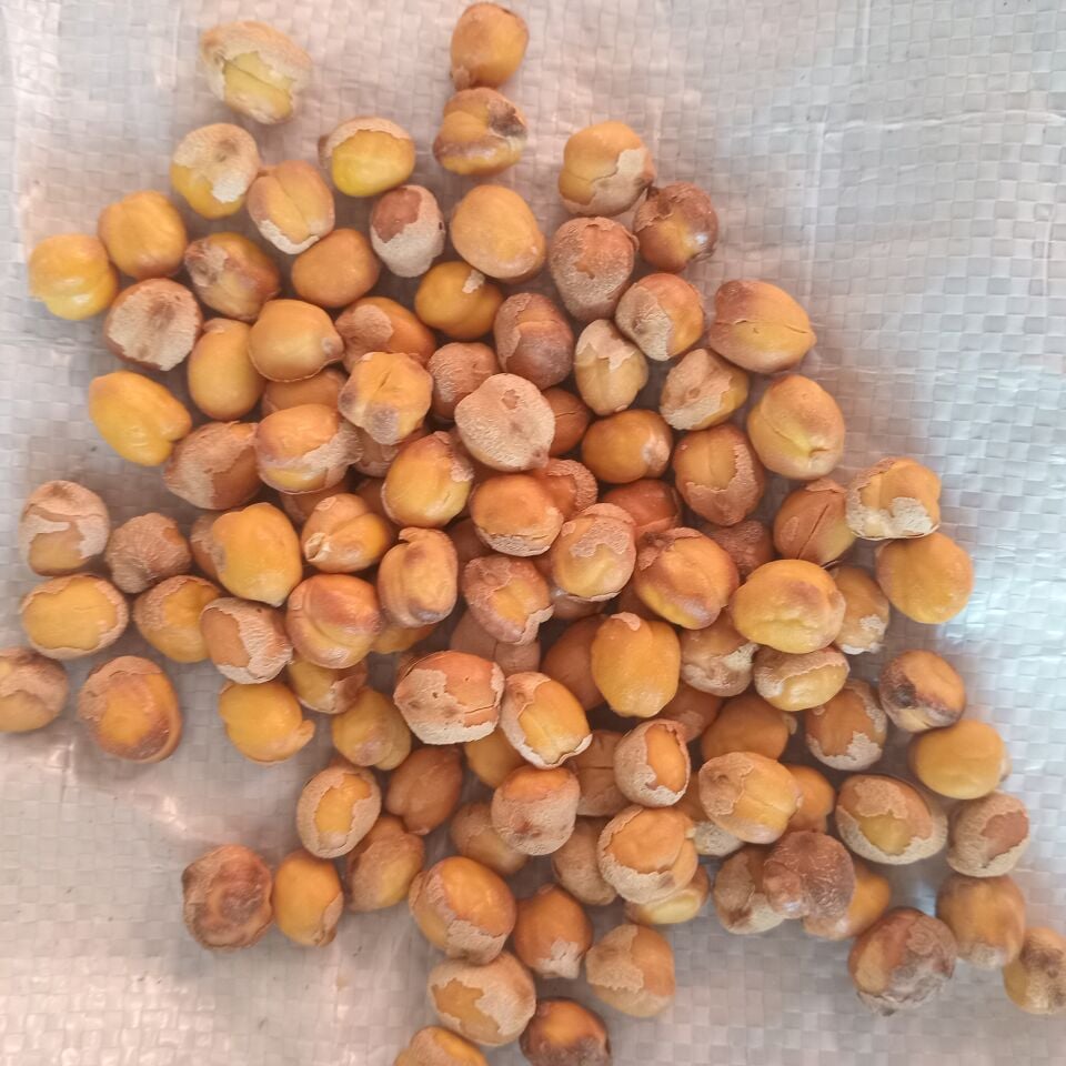 Toptan Ağın Leblebisi 20 Kg