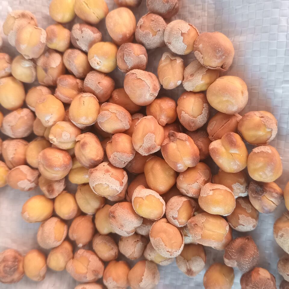 Toptan Ağın Leblebisi 20 Kg