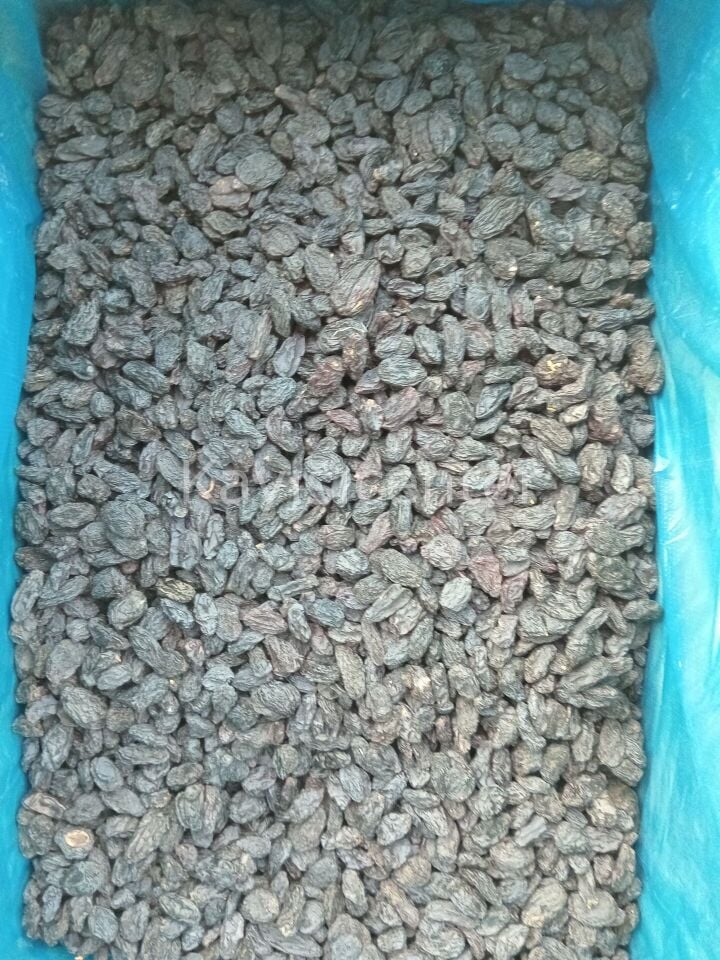 Toptan Çekirdeksiz Özbek Üzüm 10 Kg