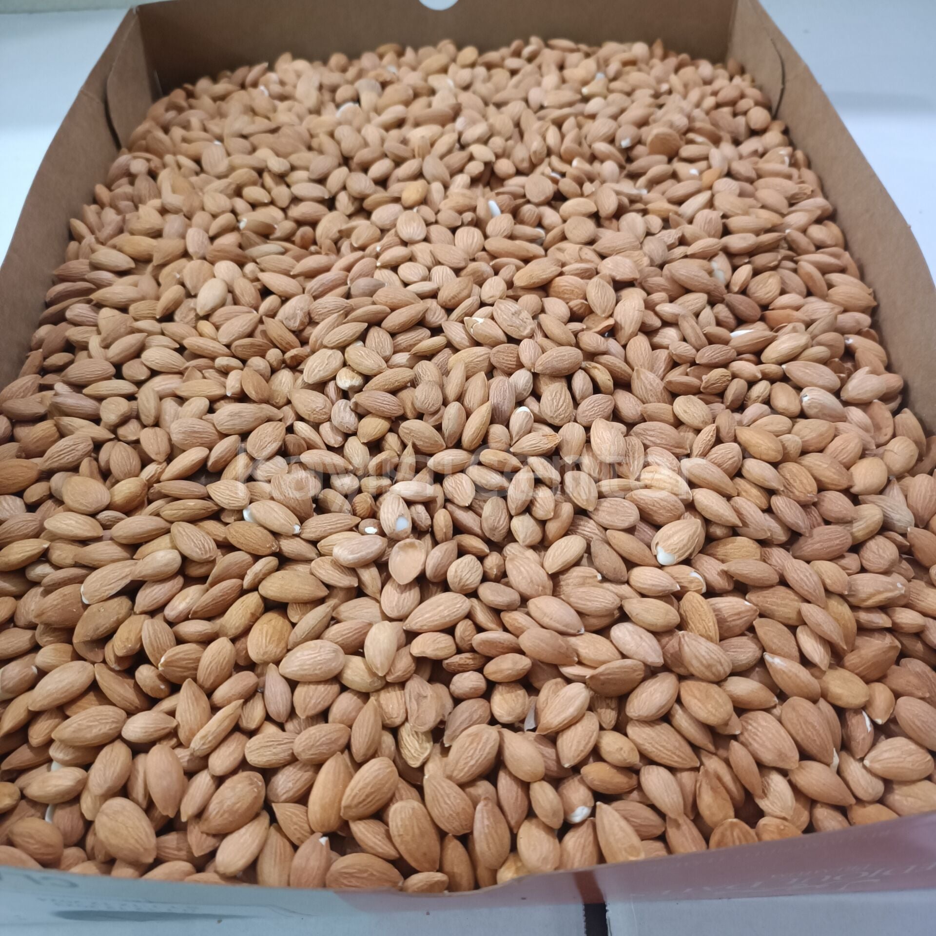 Toptan Kayısı Çekirdeği 25 Kg