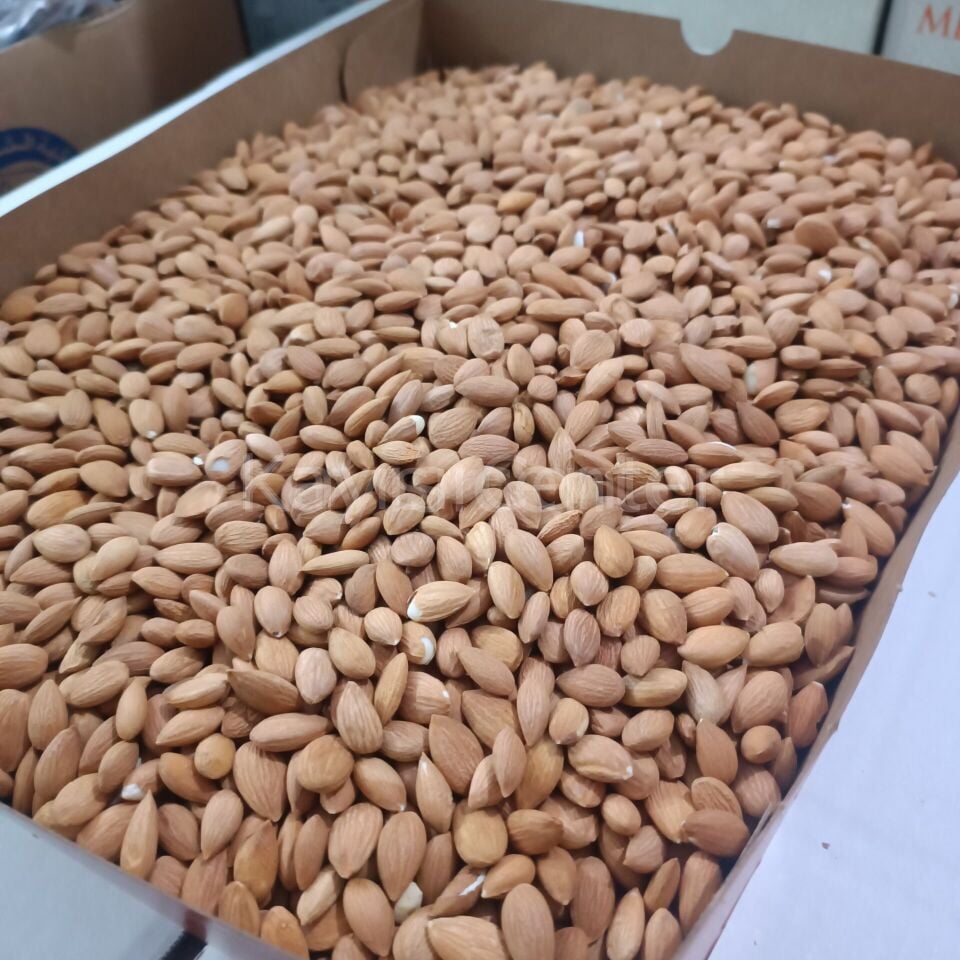 Toptan Kayısı Çekirdeği 25 Kg