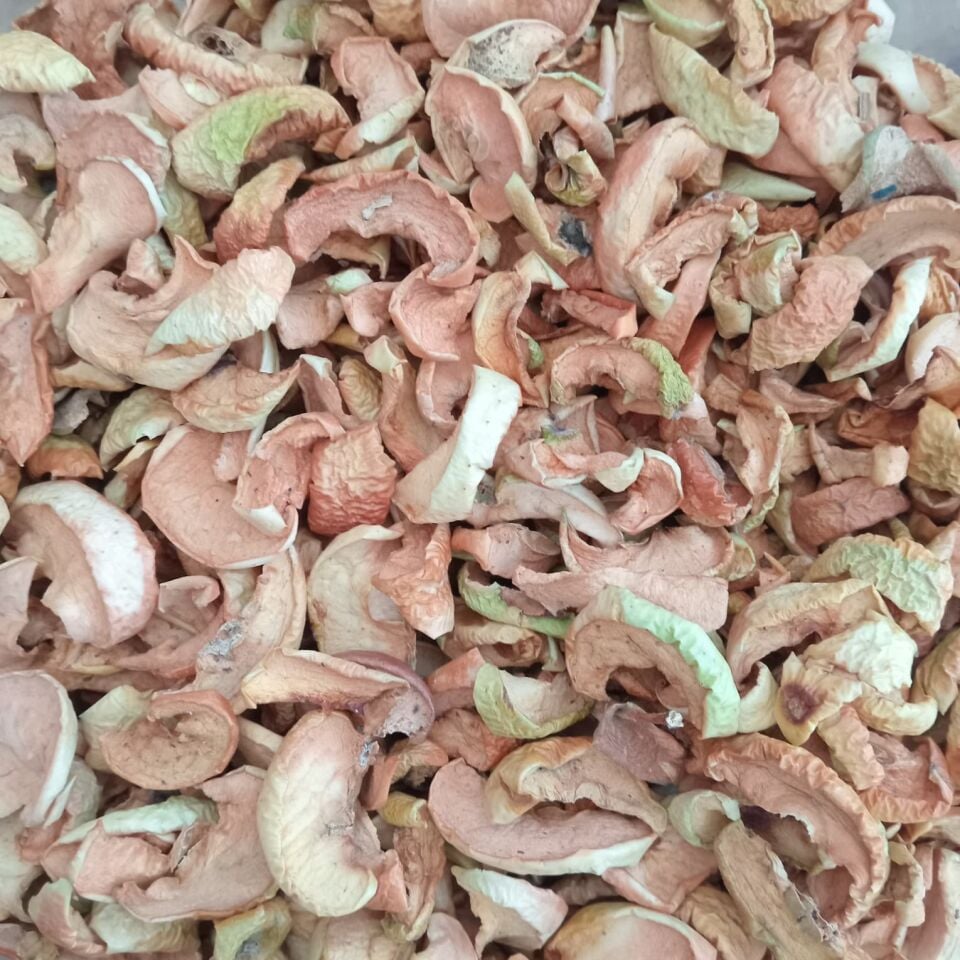 Toptan Elma Kurusu Kabuklu 10 Kg