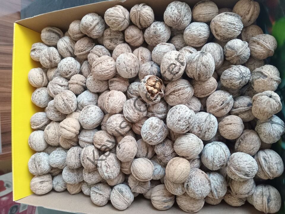 Toptan Yerli Kabuklu Ceviz 25Kg