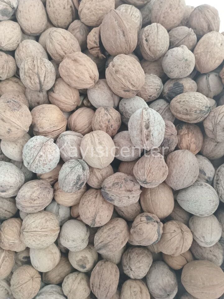 Toptan Yerli Kabuklu Ceviz 25Kg