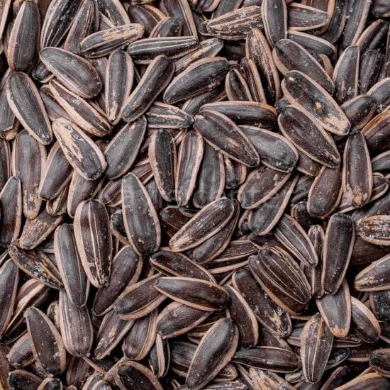 Toptan Siyah Ayçekirdeği 10 Kg