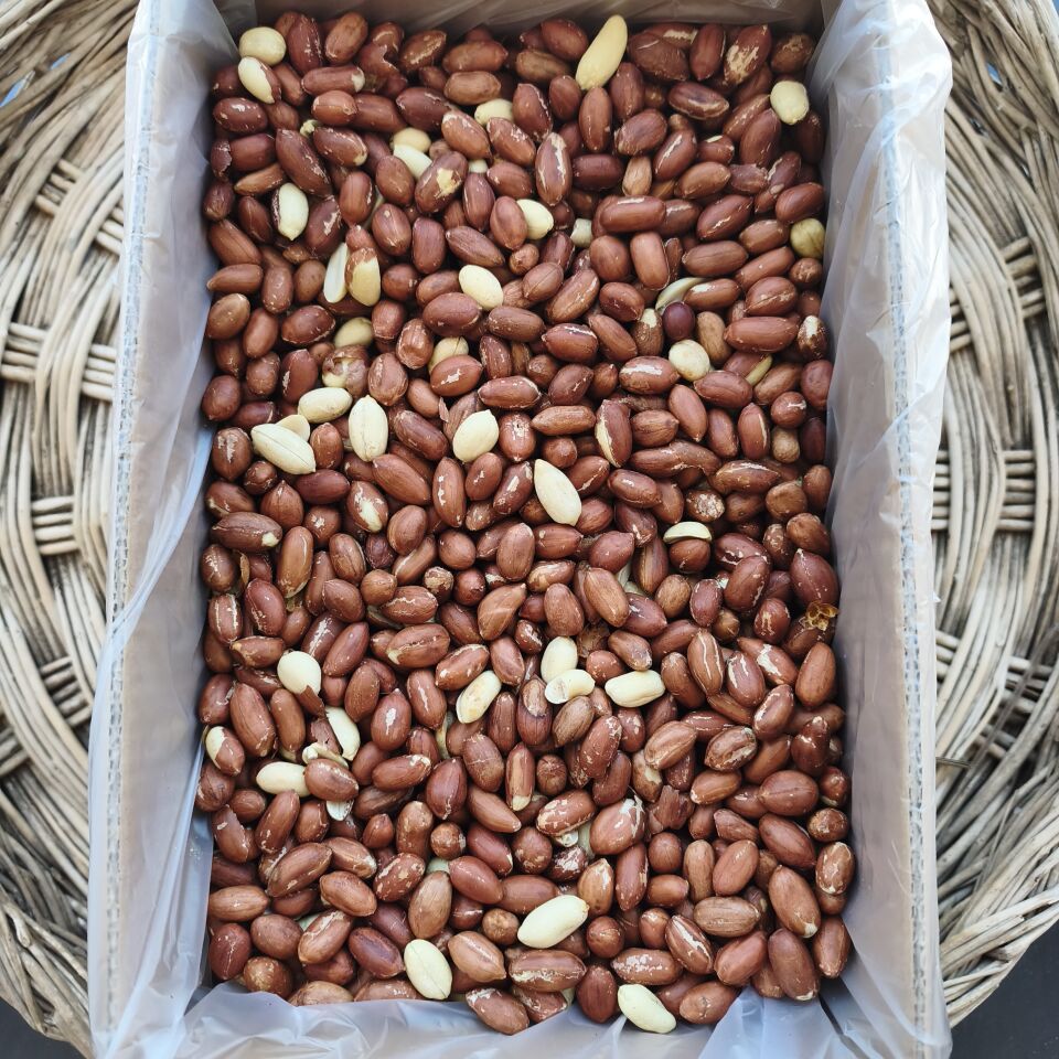 Toptan Çiğ Yer Fıstığı Duble 10 Kg