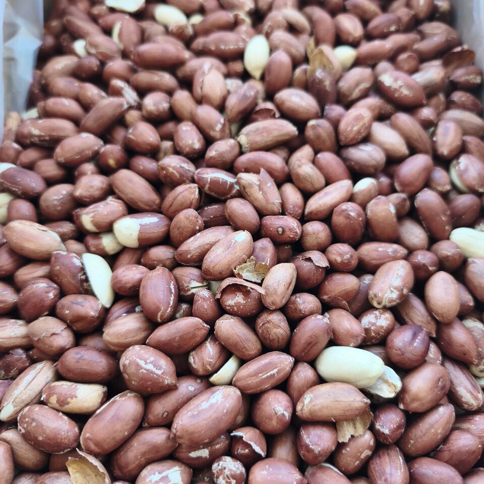 Toptan Çiğ Yer Fıstığı Duble 10 Kg