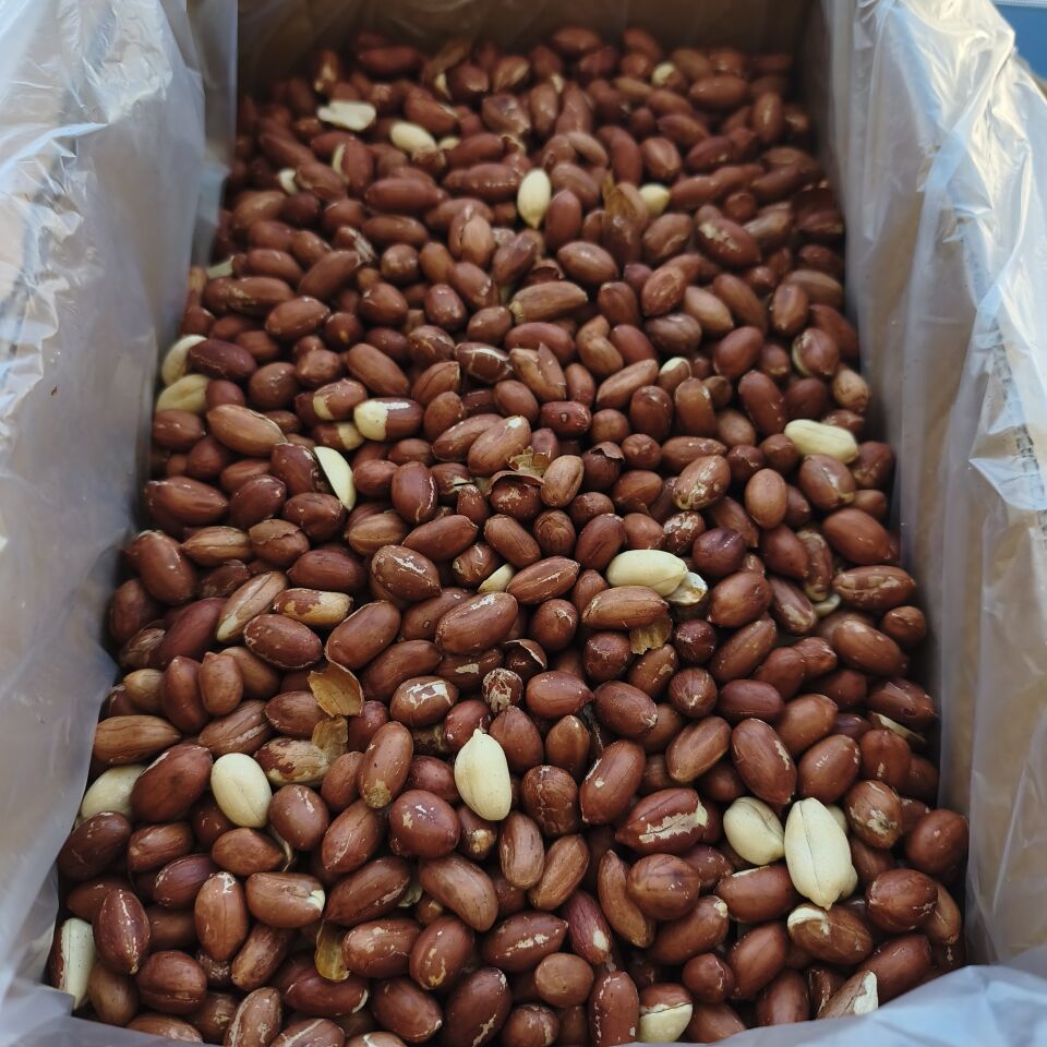 Toptan Çiğ Yer Fıstığı Duble 10 Kg