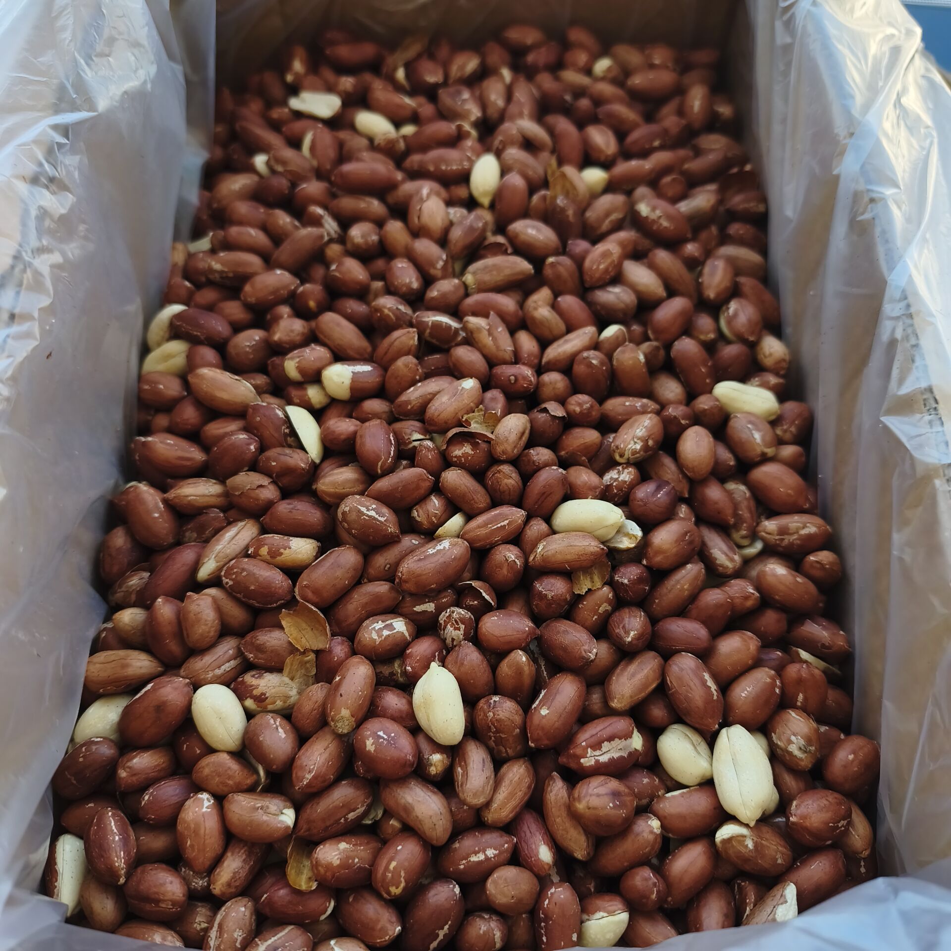 Toptan Çiğ Yer Fıstığı Duble 10 Kg