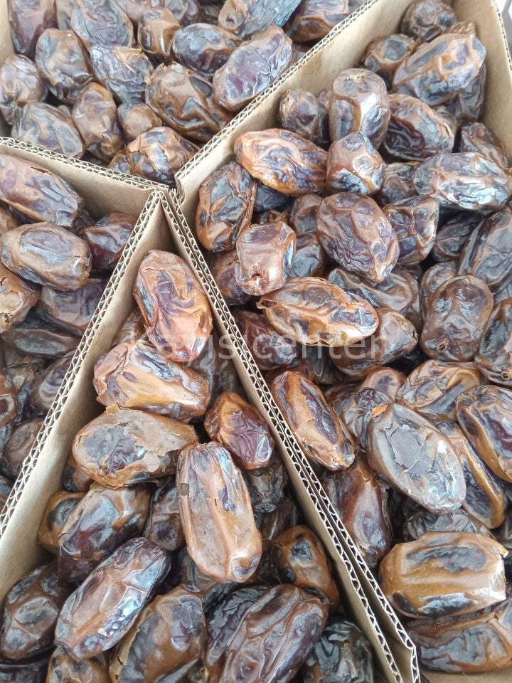 Toptan Kudüs Medjoul Ekonomik Hurma 10 Kg