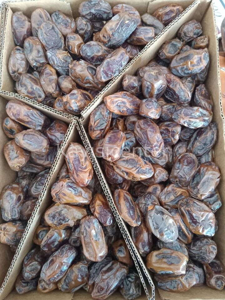 Toptan Kudüs Medjoul Ekonomik Hurma 10 Kg