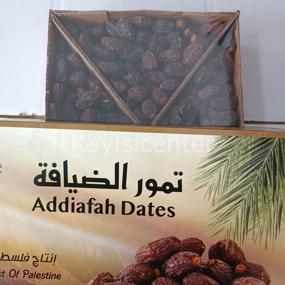 Toptan Kudüs Lüks Medjoul Small Hurma
