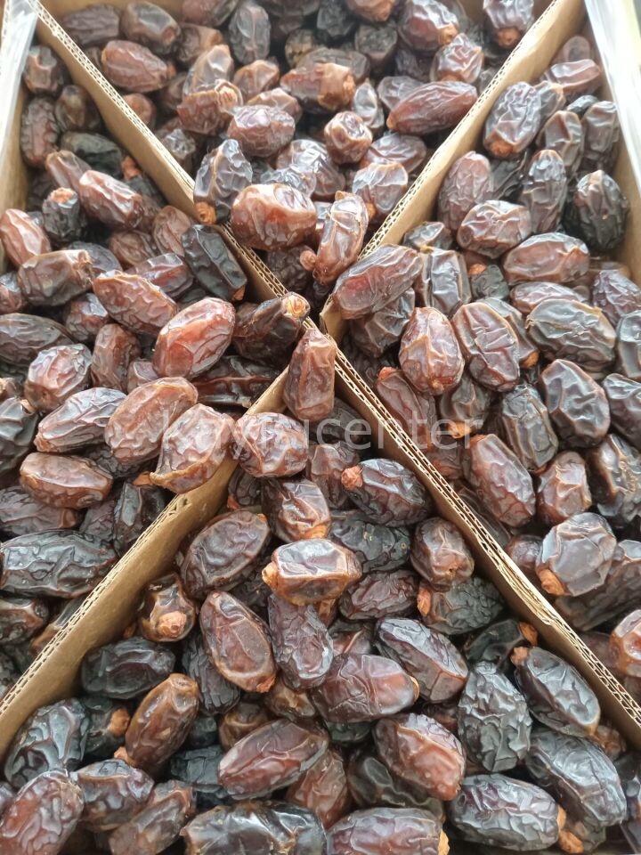 Toptan Kudüs Lüks Medjoul Small Hurma