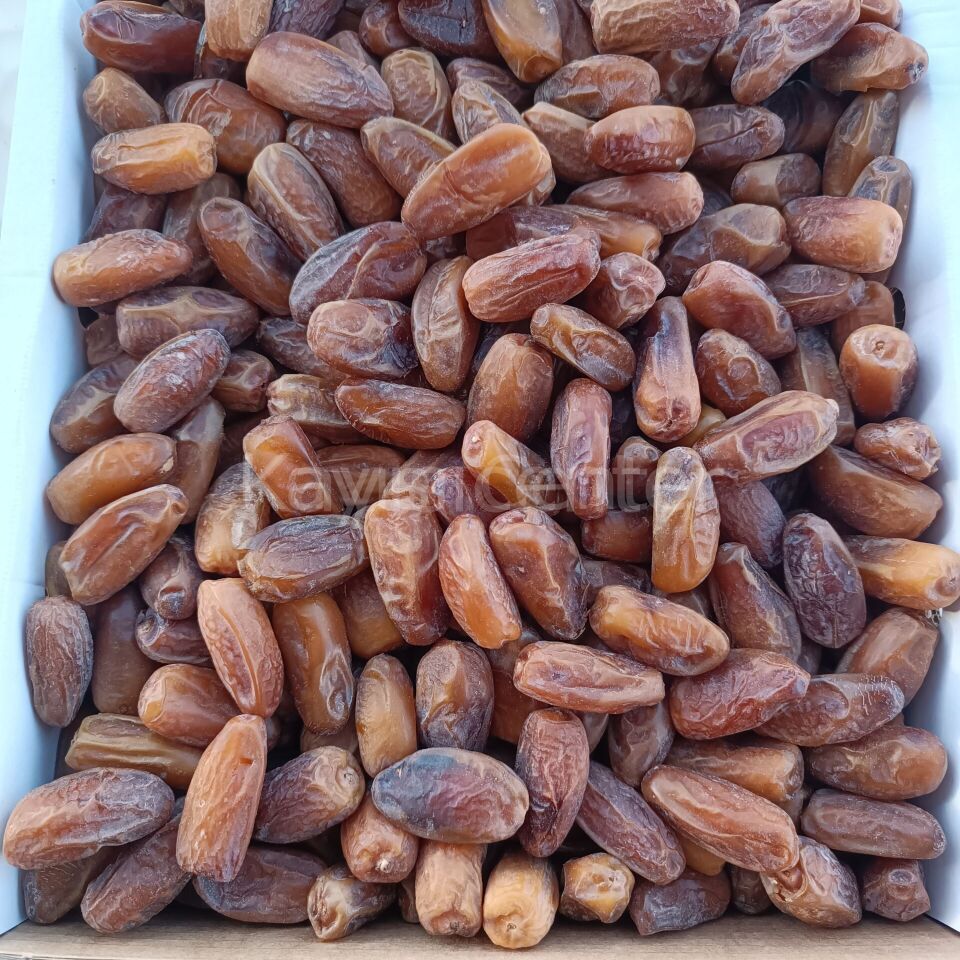 Toptan Lüks Tunus Hurma (Deglet Nour) 10 Kg