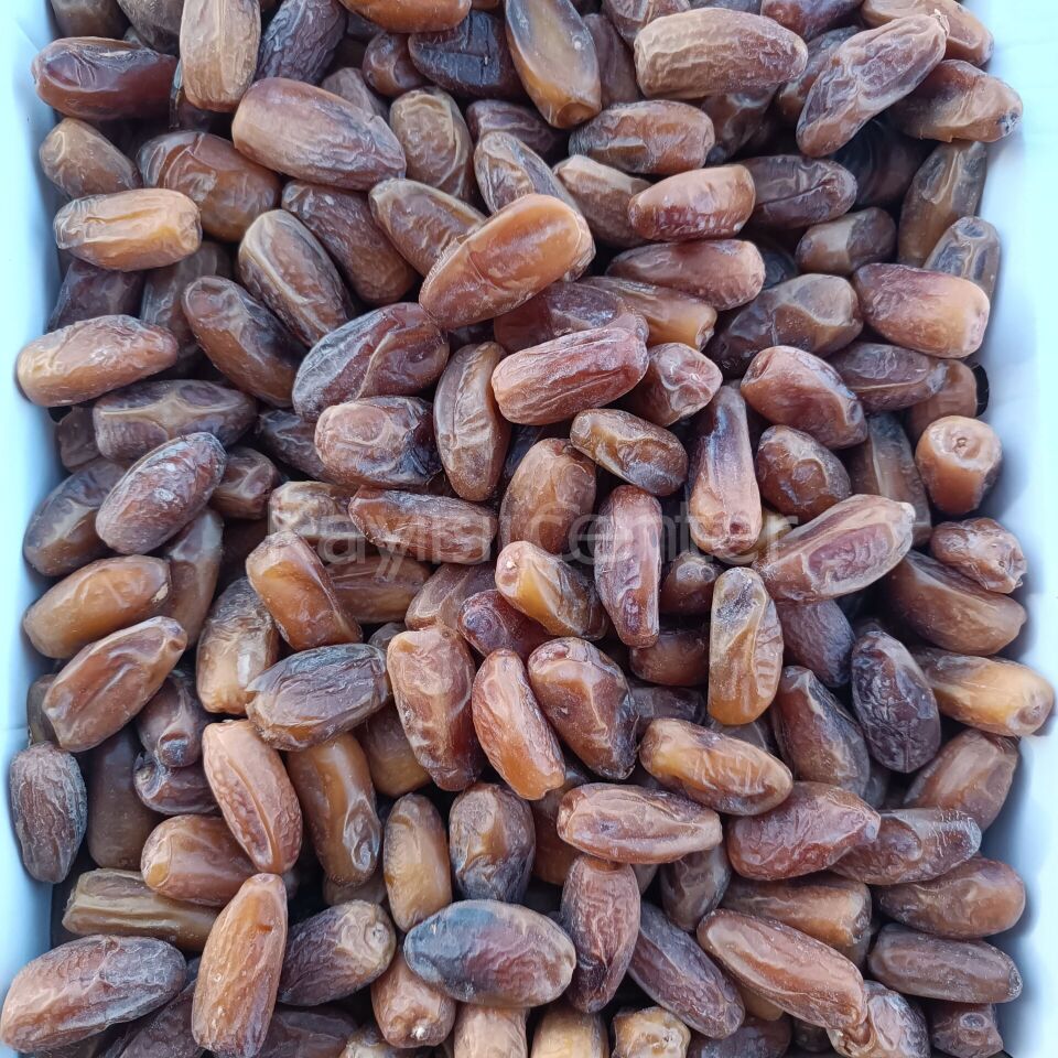 Toptan Lüks Tunus Hurma (Deglet Nour) 10 Kg