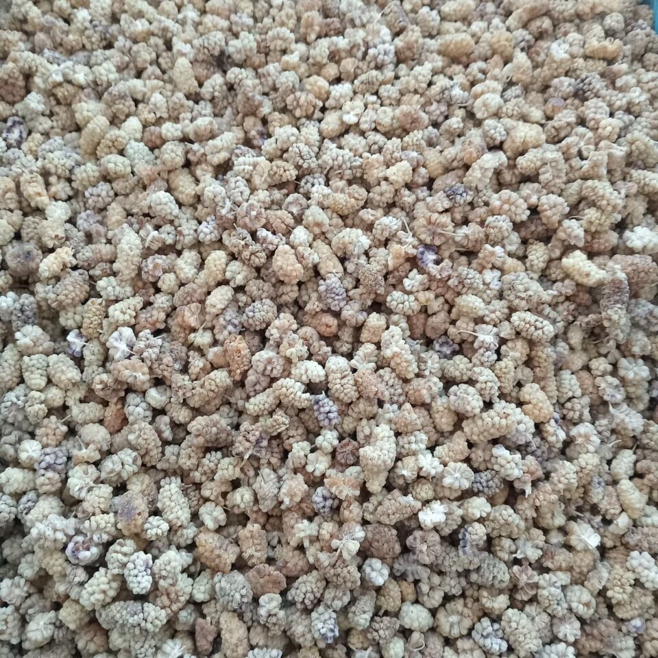 Toptan Elazığ Çekirdeksiz Kuru Dut Ekonomik 10 Kg