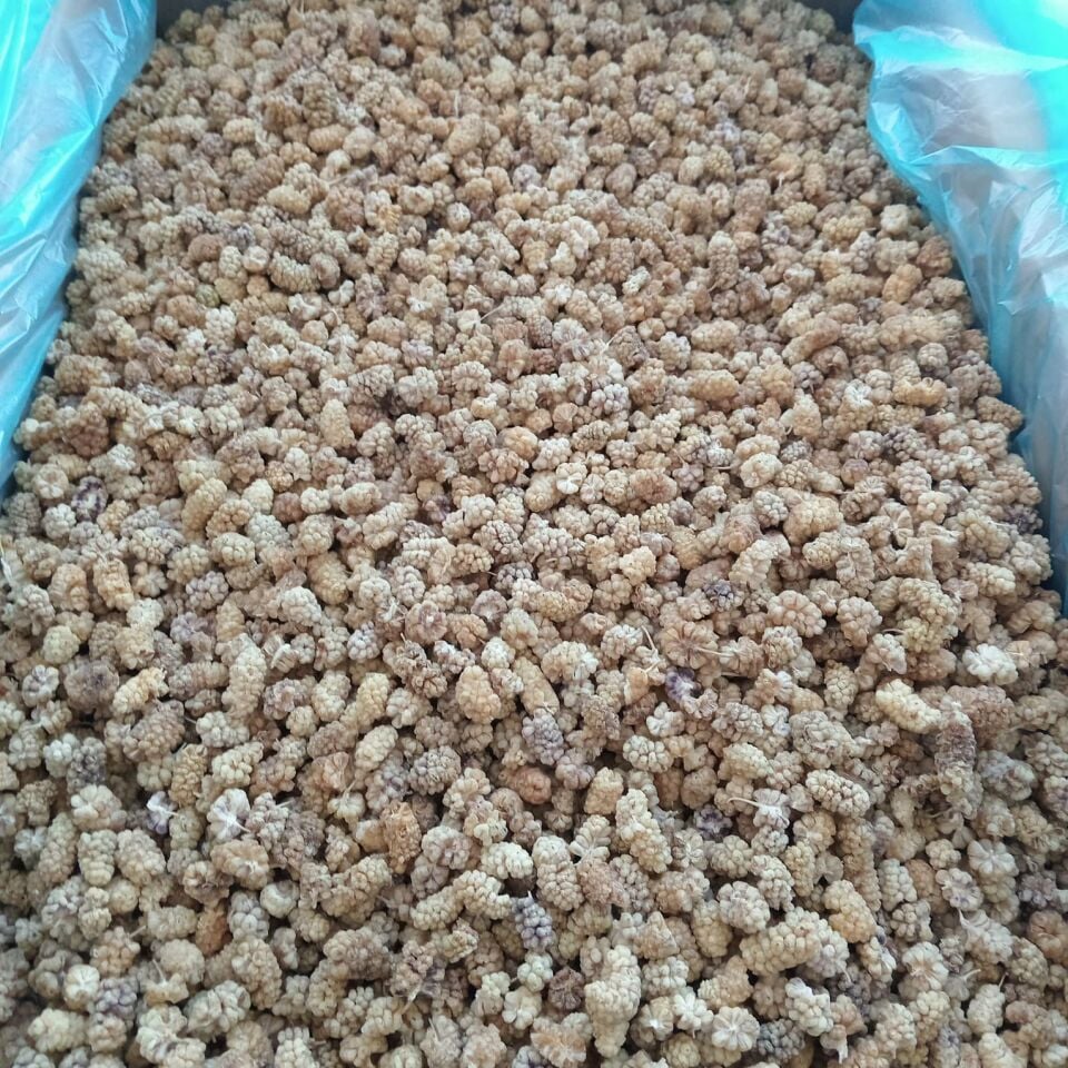 Toptan Elazığ Çekirdeksiz Kuru Dut Ekonomik 10 Kg