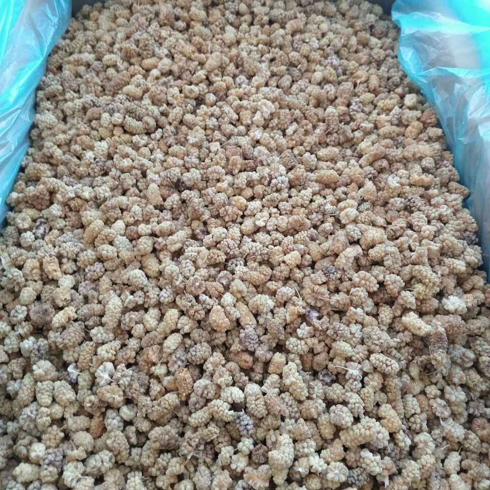 Toptan Elazığ Çekirdeksiz Kuru Dut Ekonomik 10 Kg