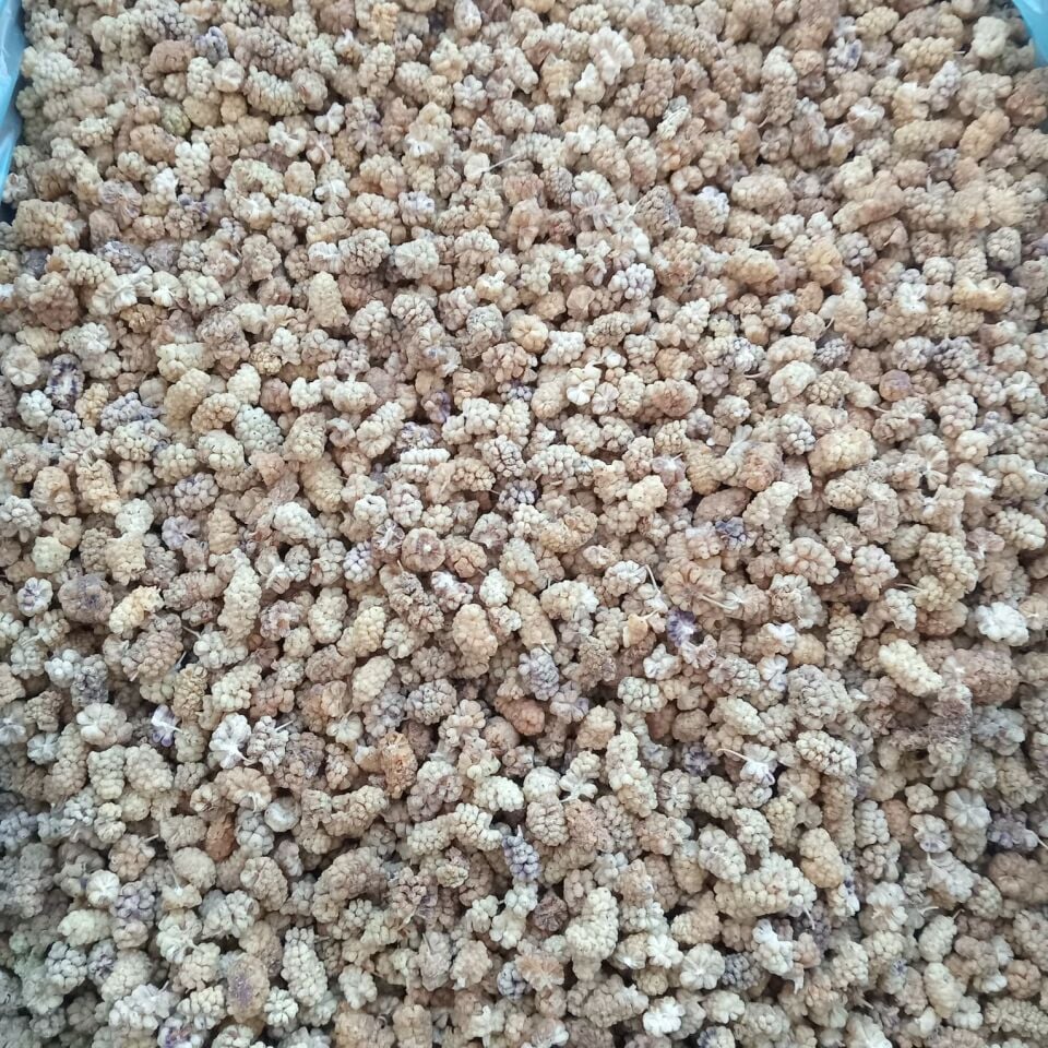 Toptan Elazığ Çekirdeksiz Kuru Dut Ekonomik 10 Kg