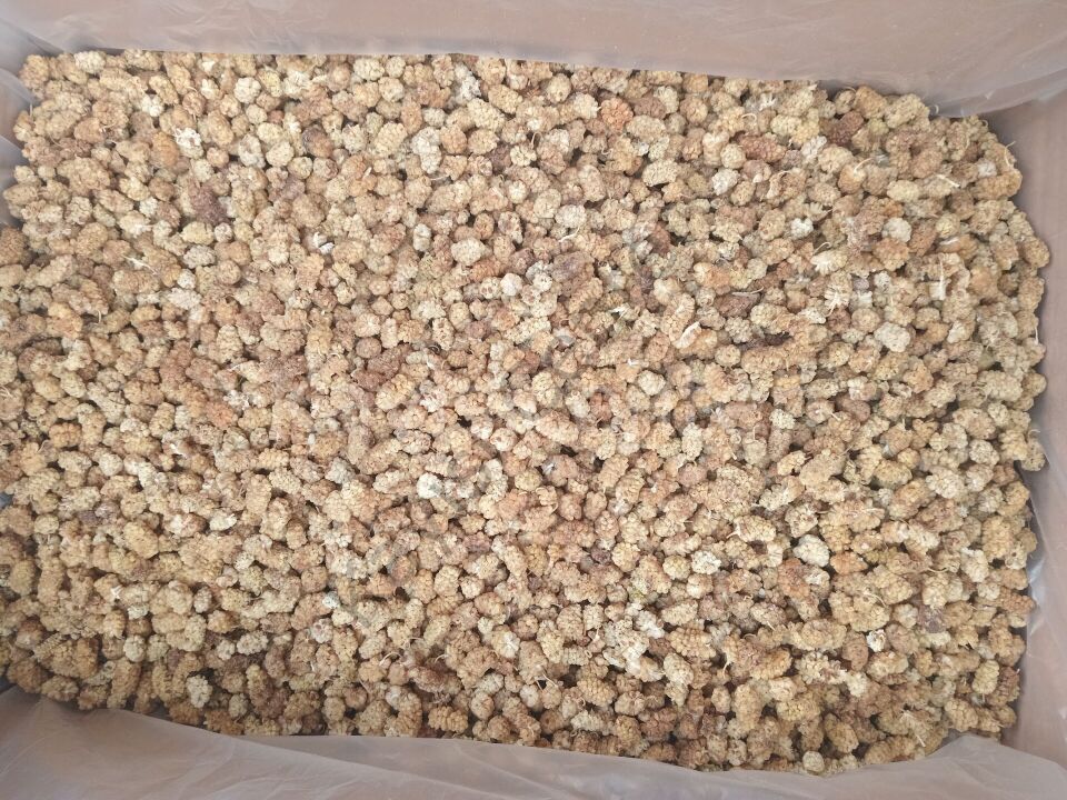 Toptan Pütürge Dut Kurusu -2.Kalite-10 Kg