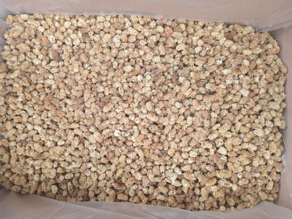 Toptan Pütürge Dut Kurusu -2.Kalite-10 Kg