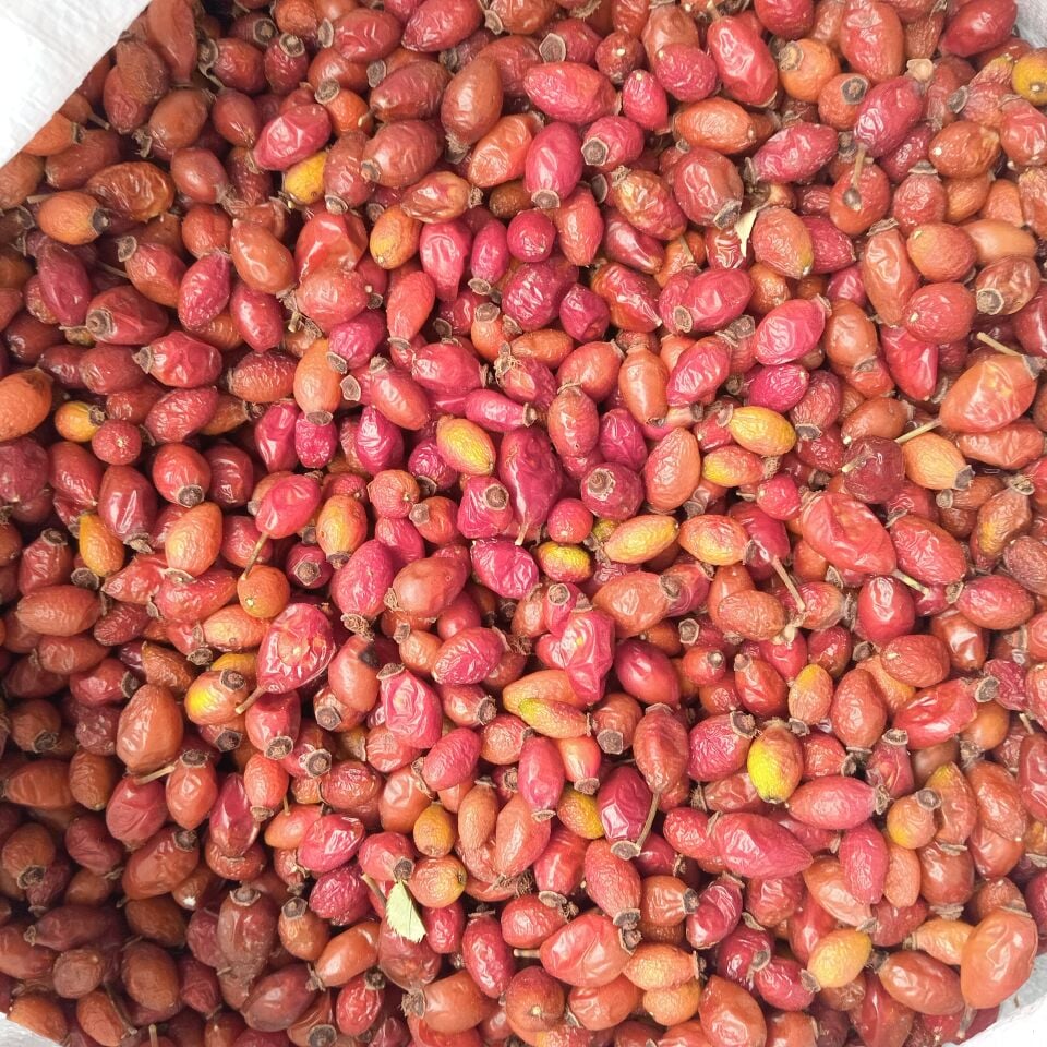 Toptan Kuşburnu Kurusu 10 Kg