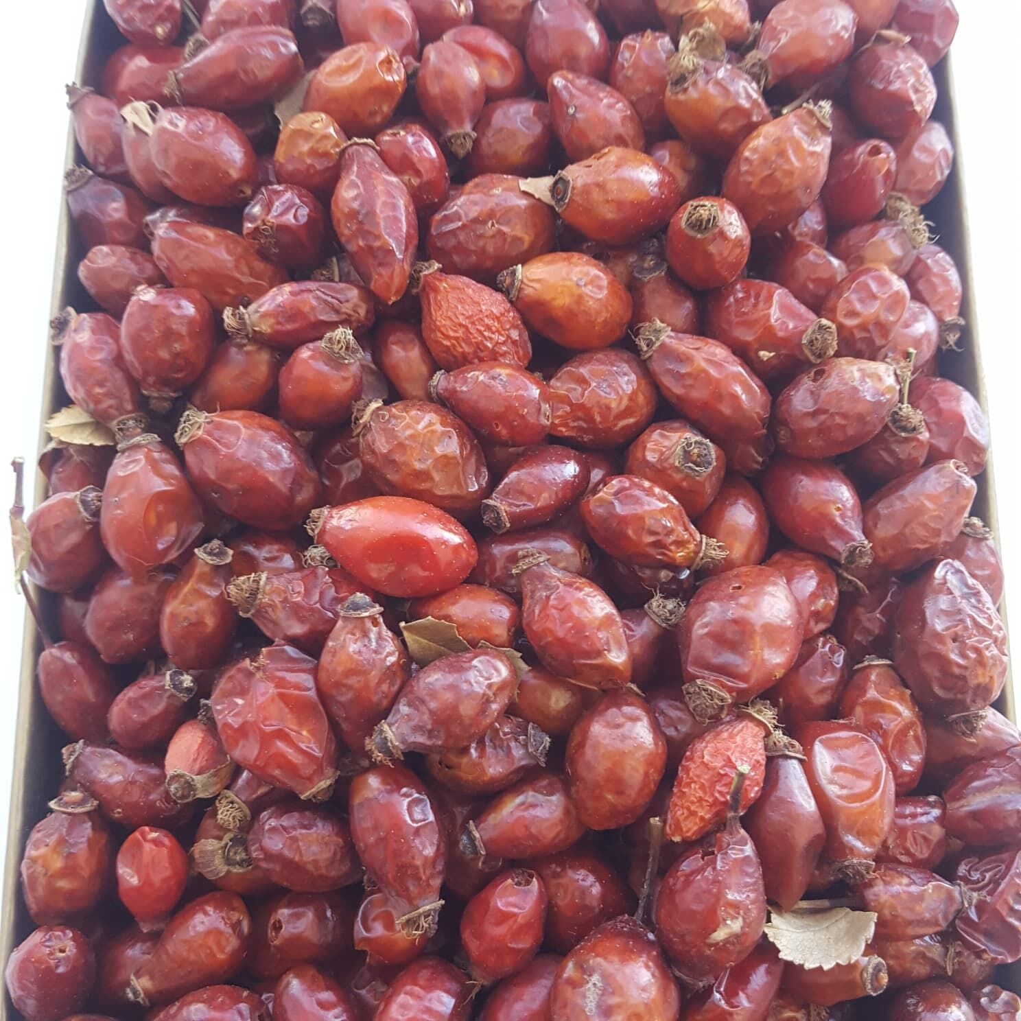 Toptan Kuşburnu Kurusu 10 Kg