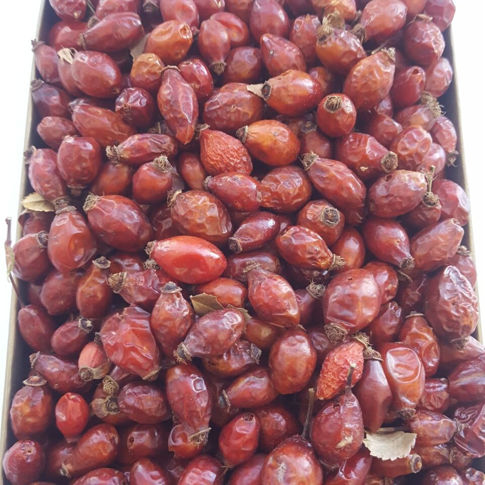 Toptan Kuşburnu Kurusu 10 Kg