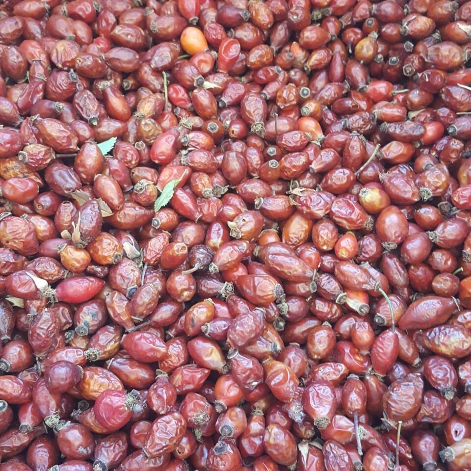 Toptan Kuşburnu Kurusu 10 Kg